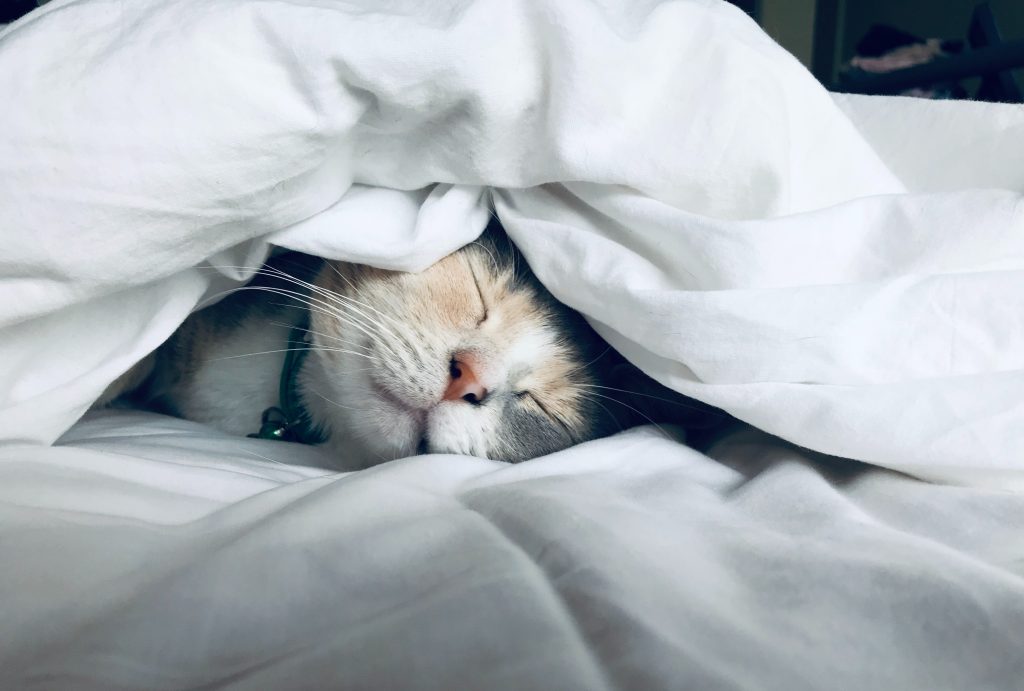Adopting a Lifestyle Conducive to Better Sleep
